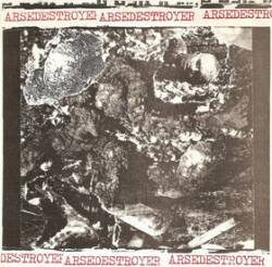 Arsedestroyer : Arsedestroyer - Confusion